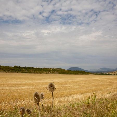 Casa Campo, Casa Rural Entre Jaca Y Anso Biniés المظهر الخارجي الصورة